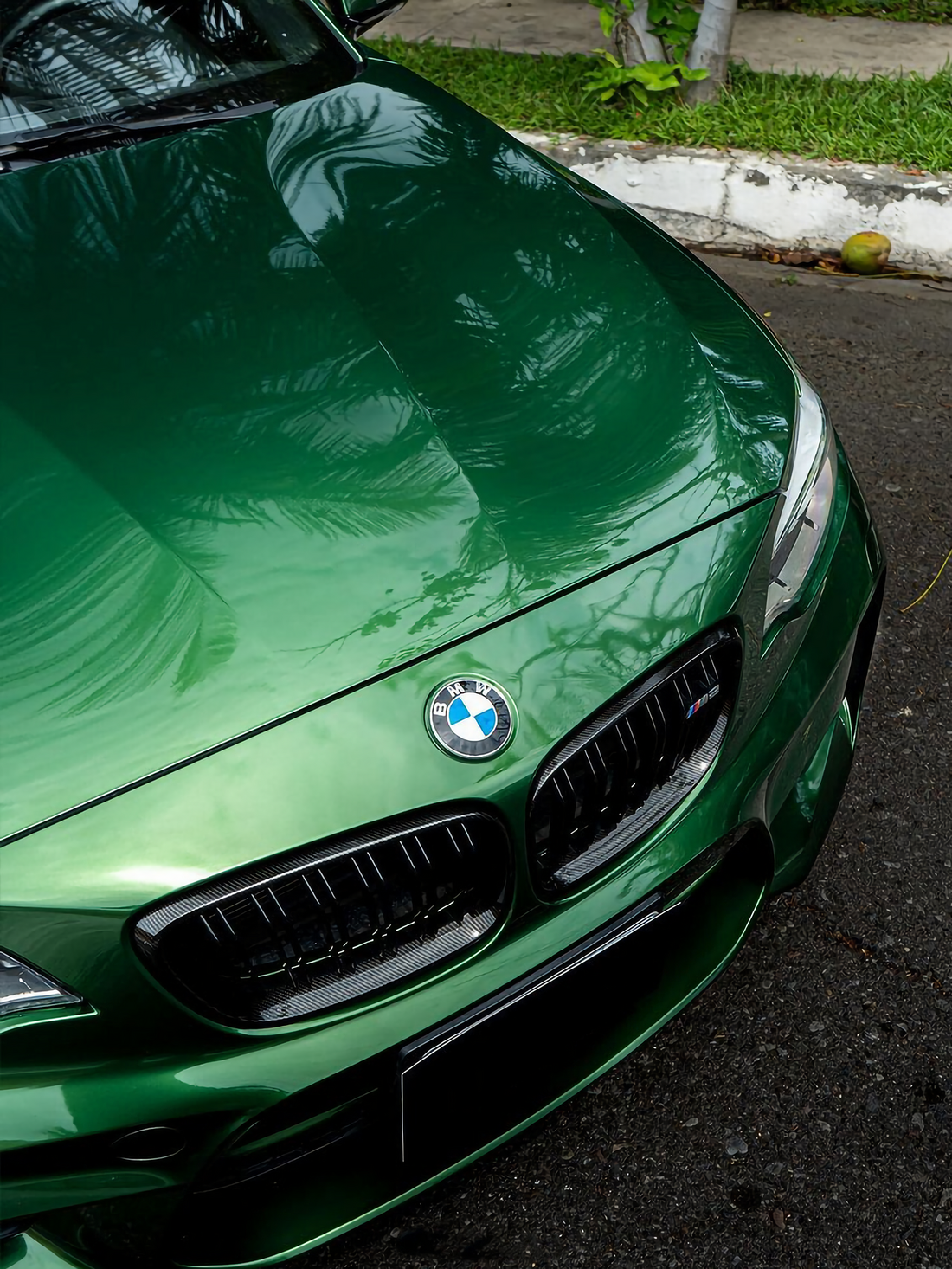 PET Metallic Sonoma Green Vinyl Wrap