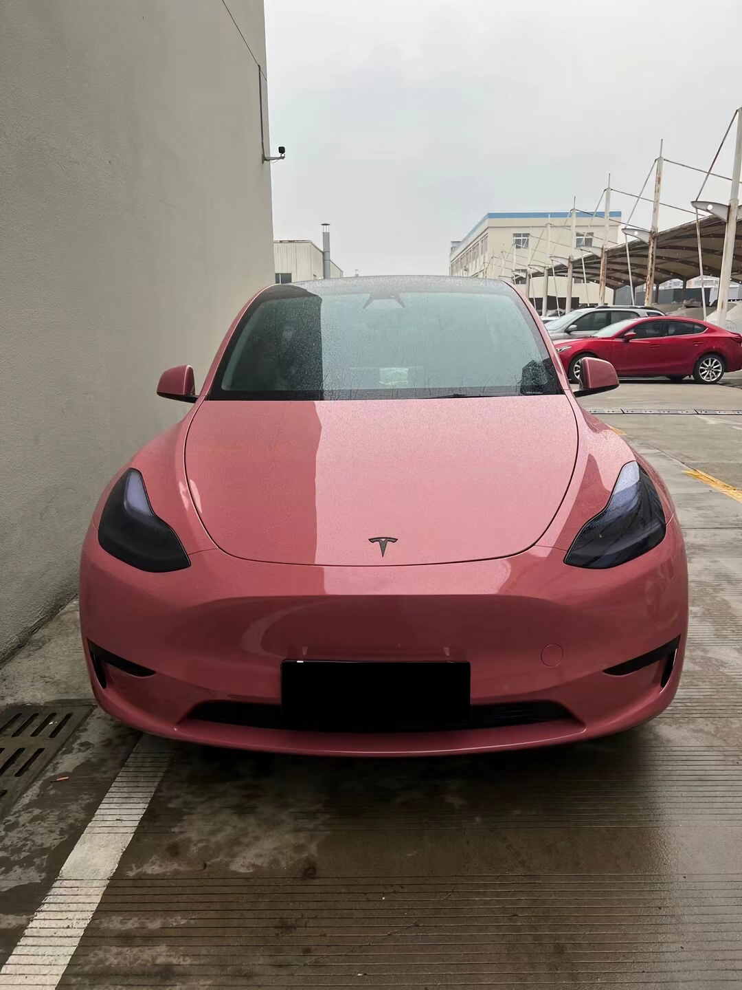 PET Plum Pink Vinyl Wrap